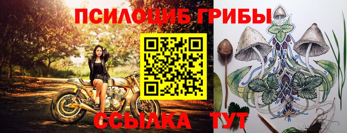 Псилоцибиновые грибы GOLDEN TEACHER Зеленокумск
